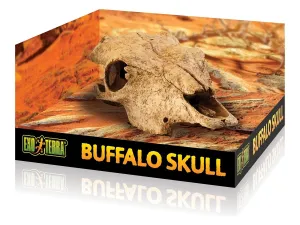 Exo Terra Buffalo Skull