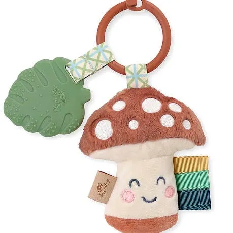 Itzy Ritzy Itzy Pal Infant Toy